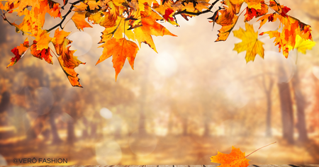 AUTUMN